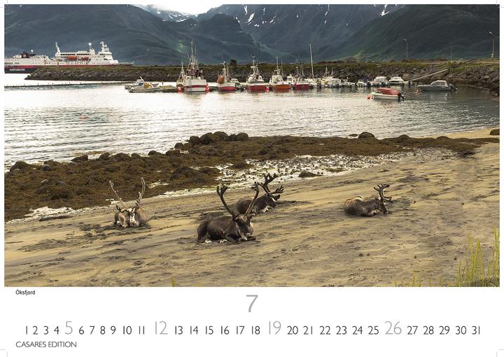 Produktbild Hurtigruten 2026 L 35x50cm (35 x 50 cm)