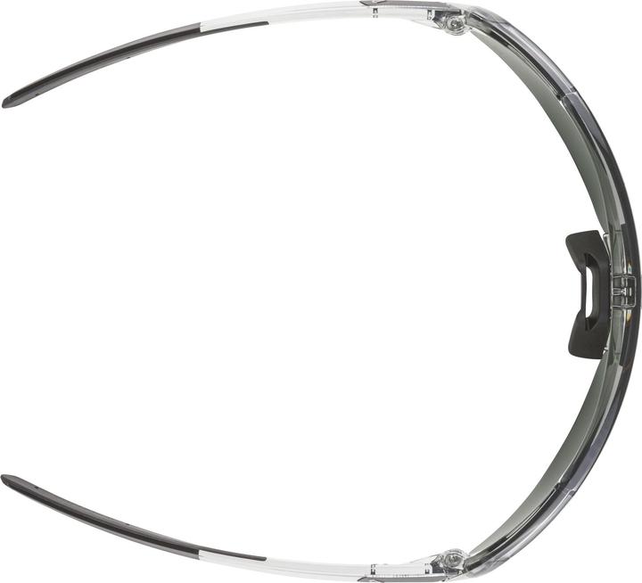 Actual product image Alpina Turbo Pro Q-Lite (Dark Grey Transparent, Silver)