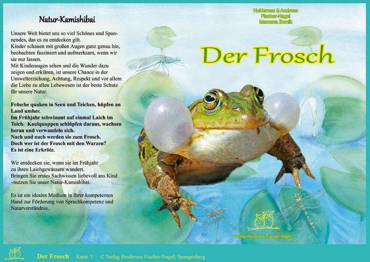 Produktbild Der Frosch. Natur-Kamishibai (Deutsch, Andreas Fischer-Nagel, Heiderose Fischer-Nagel, 2018)