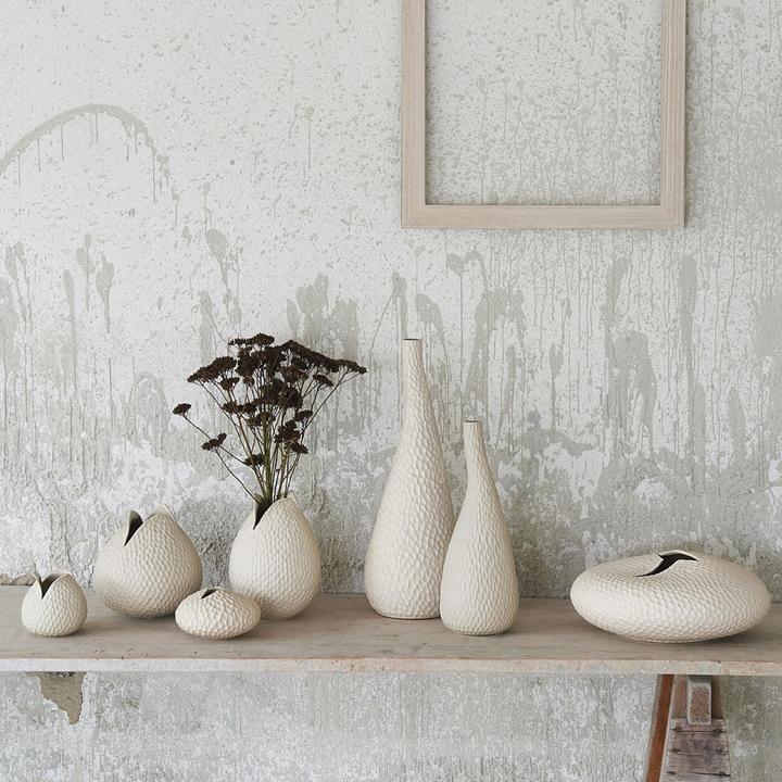 Image du produit ASA Selection nature (1x)