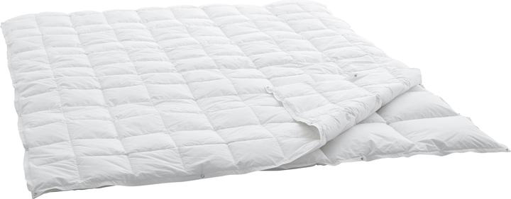 Swiss Dream by billerbeck Caro