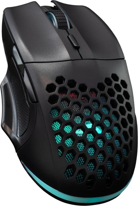 Actual product image Baracuda BGM-101 Penguin Black (Cable)