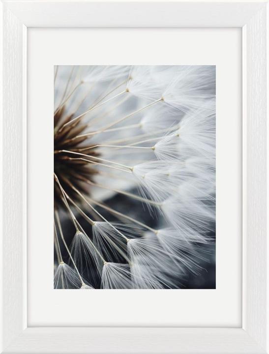 Immagine prodotto Hama vento (13 x 18 cm, 20 x 30 cm)