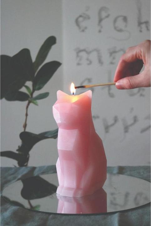 Actual product image 54Celsius PyroPet Kisa (1 pcs.)