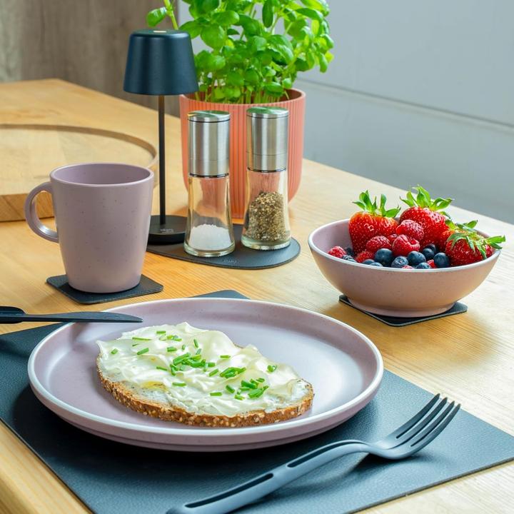 Actual product image Silwy Magnetic Dinnerware Set