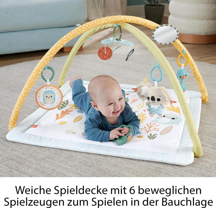 Image du produit Fisher-Price Simplement des sens