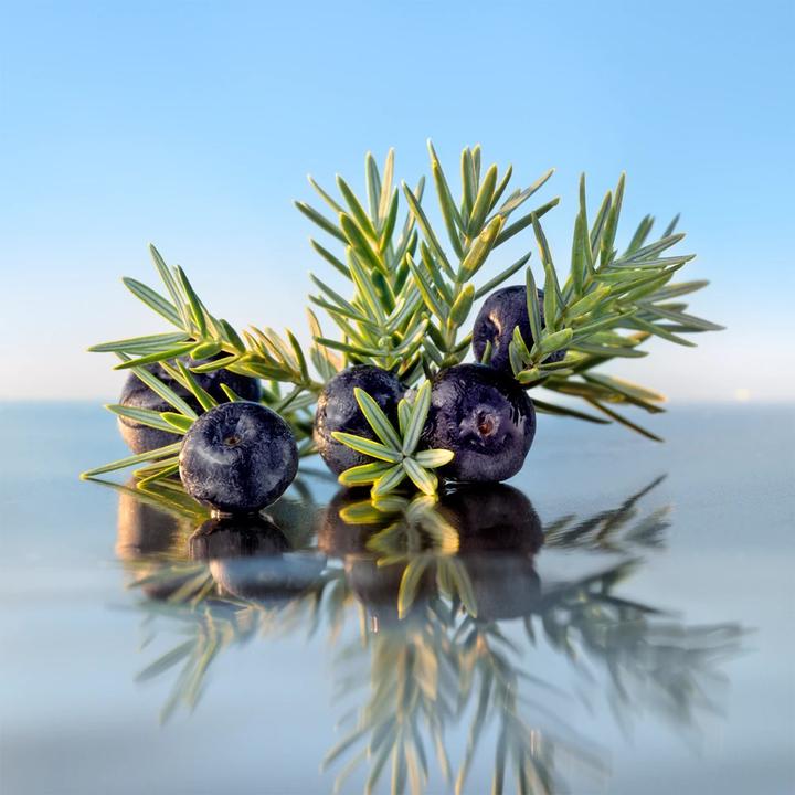 Immagine prodotto Azzaro Fragrance Wanted (Eau de parfum, 100 ml)