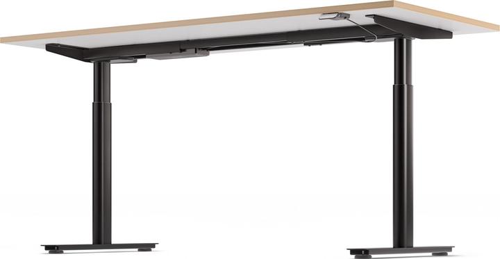 Image du produit ofinto Rise