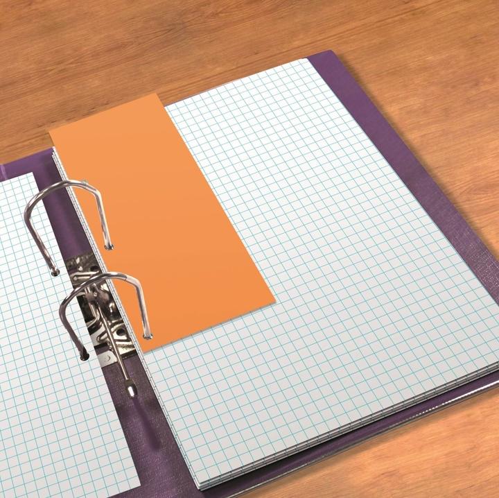 Image du produit Elba Intercalaire Duo 240x105mm