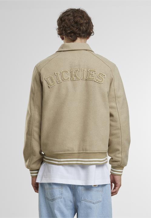Actual product image Dickies West Vale Jacket - 89465 (S)