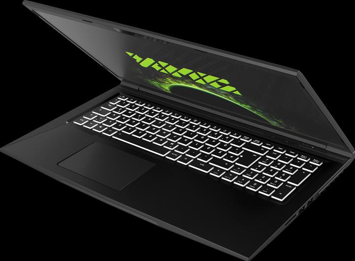 Produktbild XMG Core 17 (17.30", AMD Ryzen 5 4600H, 16 GB, 500 GB, DE)