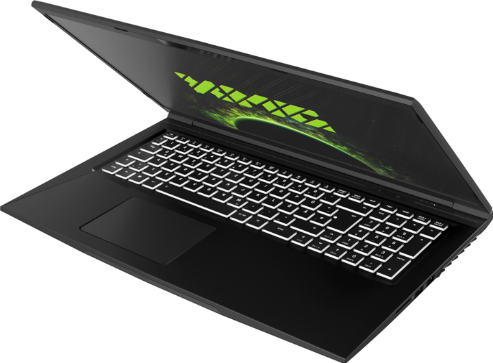 Produktbild XMG Core 17 (17.30", AMD Ryzen 5 4600H, 16 GB, 500 GB, DE)