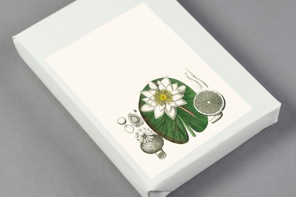 Produktbild Book Flora