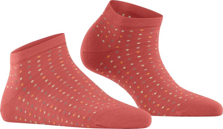 Immagine prodotto Falke Multispot Damen Sneakersocken (35 - 38)