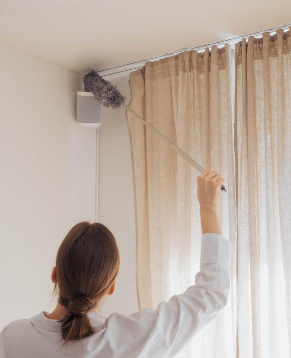 Actual product image Werkstein Staubwedel