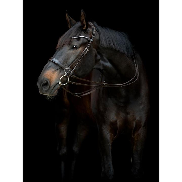 Immagine prodotto Catago Gentle