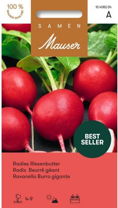 Image du produit Samen Mauser Beurre géant Radishes (Graines de légumes)