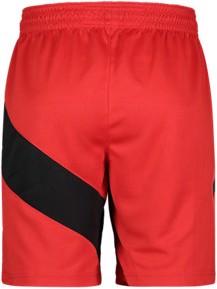 Immagine prodotto Nike Toronto Raptors short da basket uomo