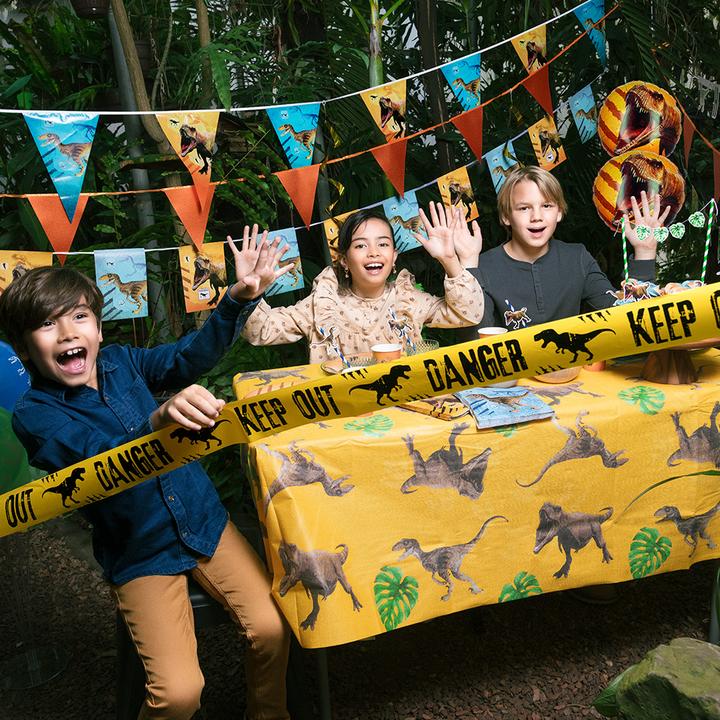 Actual product image Boland Dinosaure: KEEP OUT (1 pcs.)