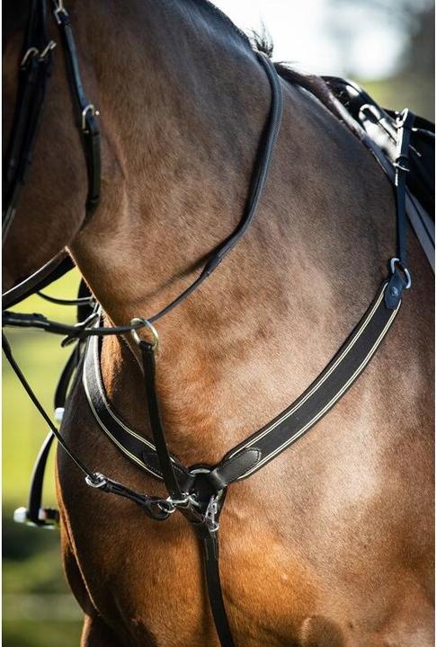 Image du produit HFI Master Collier de chasse pour cheval élastique