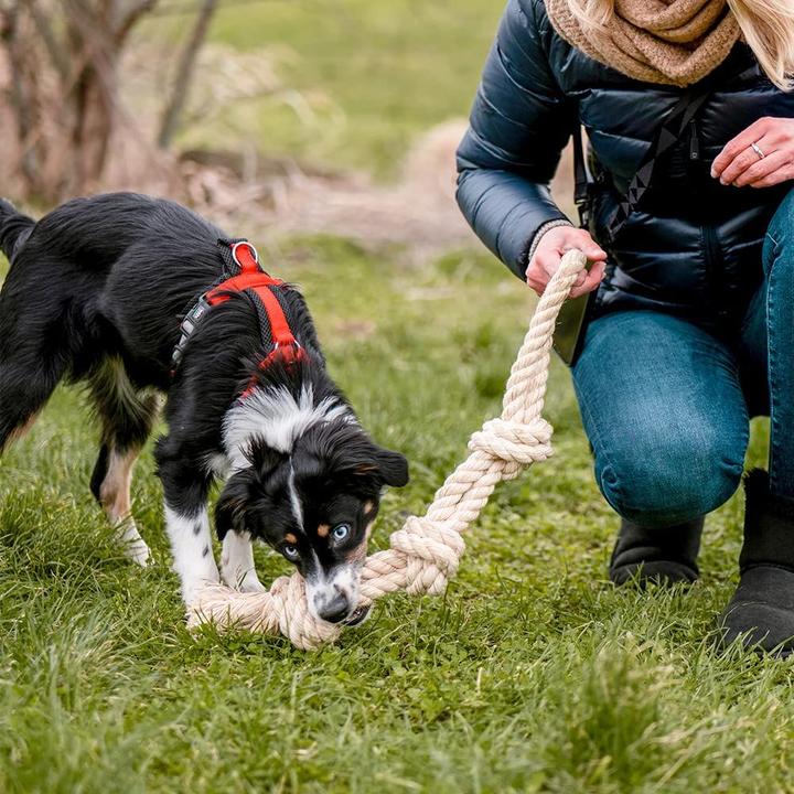 Actual product image Nobby Dog Toy Knot Rope, Nature (Dog chew toy)