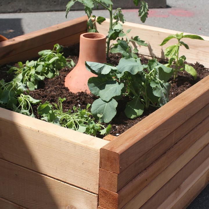 Produktbild Bio Green Hydro Max L (Tonkegel)