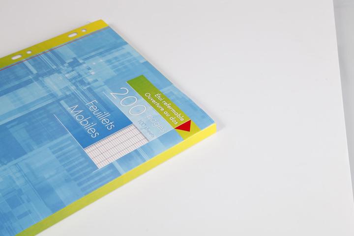 Actual product image Clairefontaine Ring binder inserts