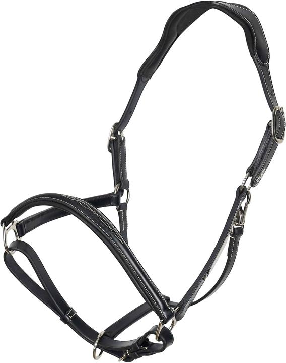 Immagine prodotto HV Polo Legacy