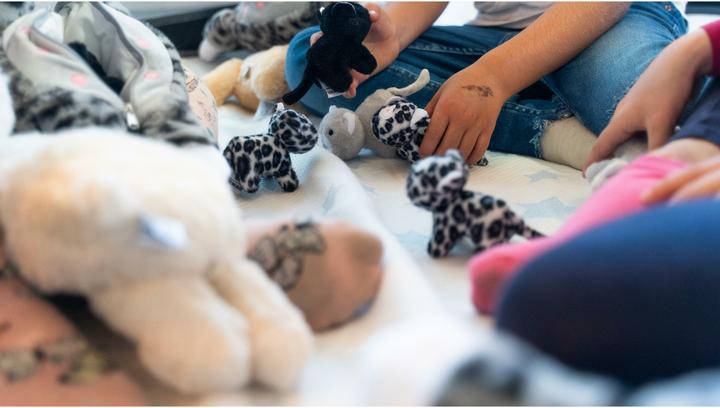 Image du produit Mamanimals Doudou chats bébés 4 pcs. (9 cm)