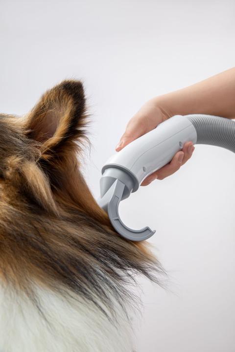 Productafbeelding HomeRunPet Haustierföhn PD10 (Hond)
