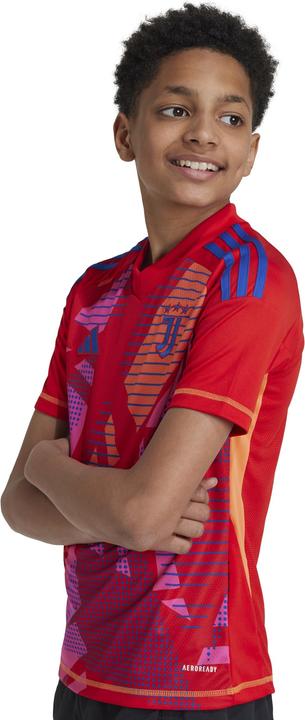 Image du produit adidas Juventus Turin Enfants Maillot de Gardien de But (152)