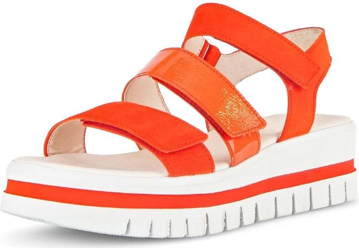 Orange Multi