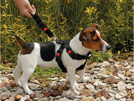 Produktbild Karlie Auto-Sicherheitsgeschirr Nylon (Hund, Sicherheitsverschluss, Reflektoren)
