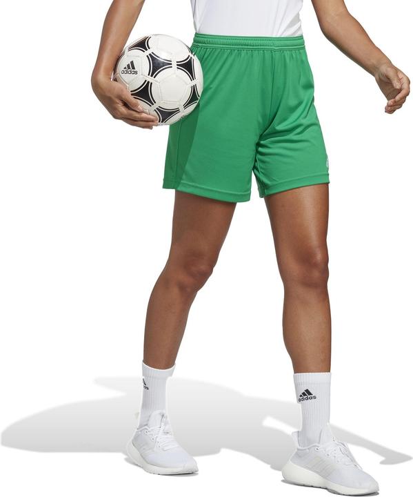 Produktbild adidas Entrada 22 Trainingsshort Damen (XXL)