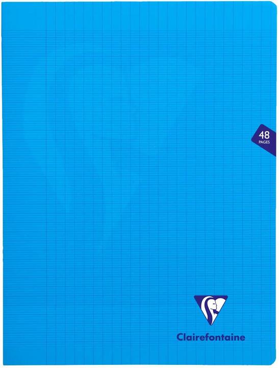 Immagine prodotto Clairefontaine Mimesys (Copertina rigida)