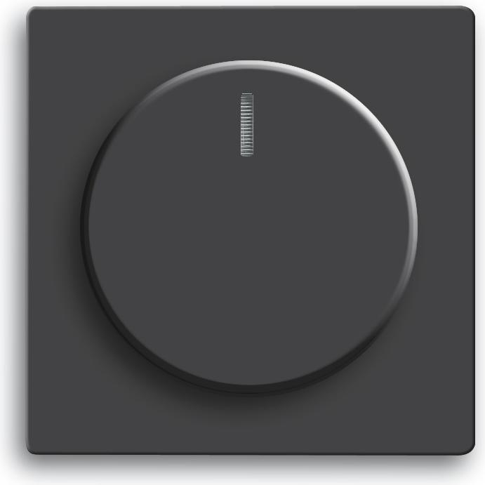 Immagine prodotto Busch-Jaeger Disco centrale