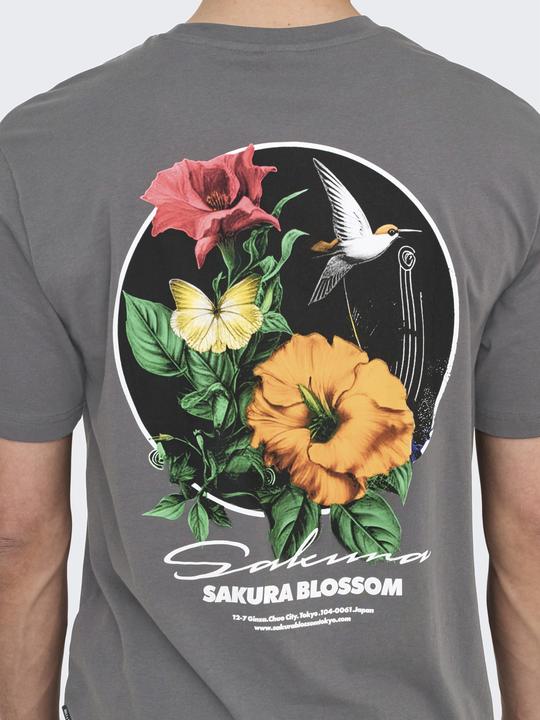 Immagine prodotto Only & Sons Onskeane Rlx Ss Print Tee Noos (S)