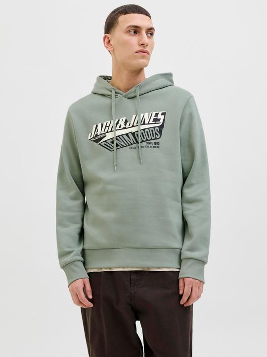 Actual product image Jack & Jones JJELOGO SWEAT HOOD 2 COL 25/26 NOOS (XXL)