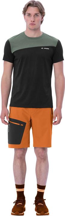 Actual product image Vaude Badile Shorts (46)