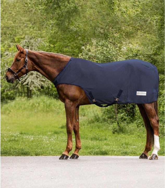 Blau, Midnight Blue