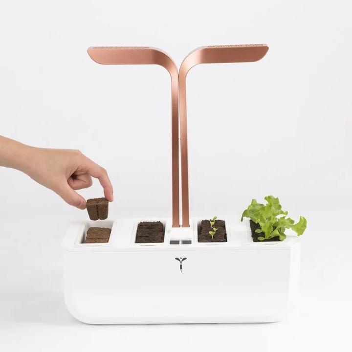 Immagine prodotto Véritable Seedling Kit
