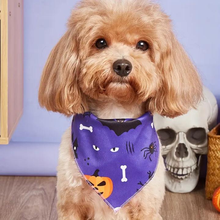 Image du produit Suba Bandanas d’Halloween pour Chiens (L, Bandana pour chien)