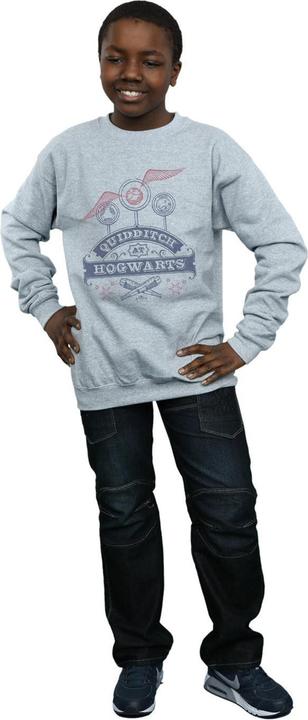Produktbild Quidditch At Hogwarts Sweatshirt Jungen (140, 146)