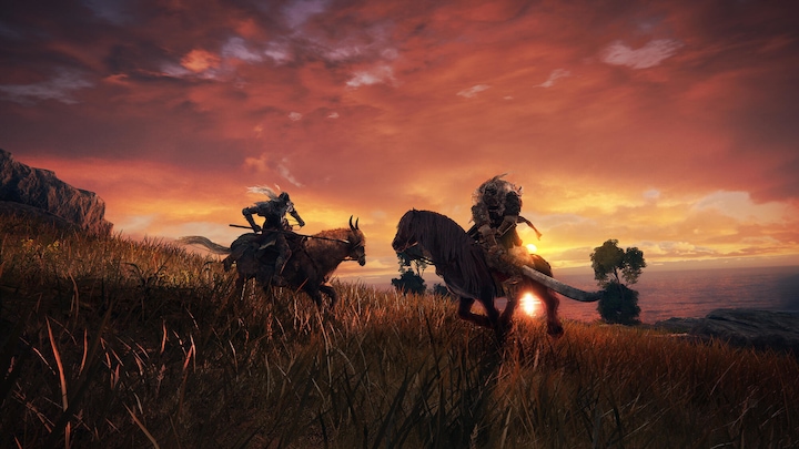 Immagine prodotto Bandai Namco Anello di Elden (PS4, DE)