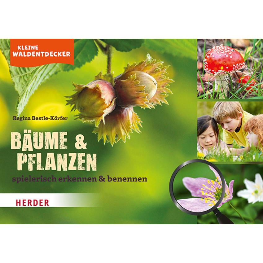 Kleine Waldentdecker: Bäume & Pflanzen, Fachbücher von Regina Bestle-Körfer