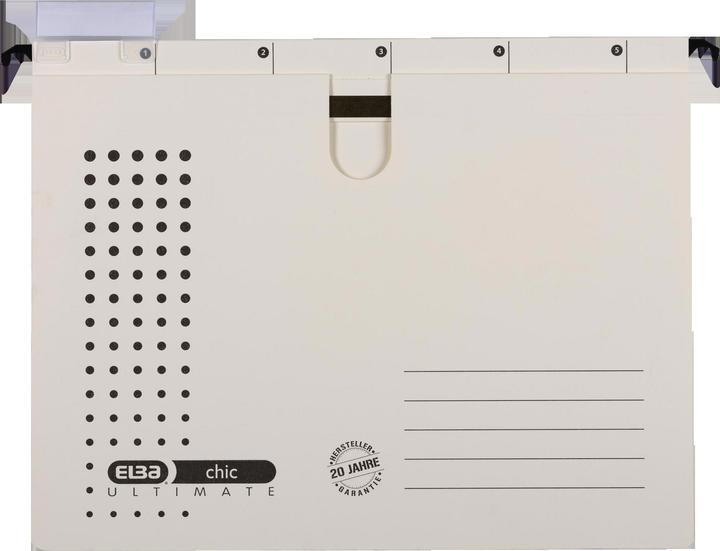Actual product image Elba hanging file chic ULTIMATE, DIN A4, chamois (A4, 100 x)