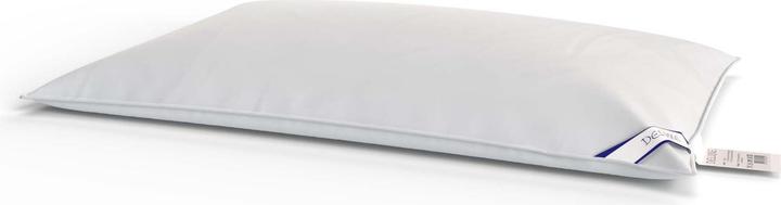 Image du produit Capistrano Oreiller de luxe (65 x 100 cm)