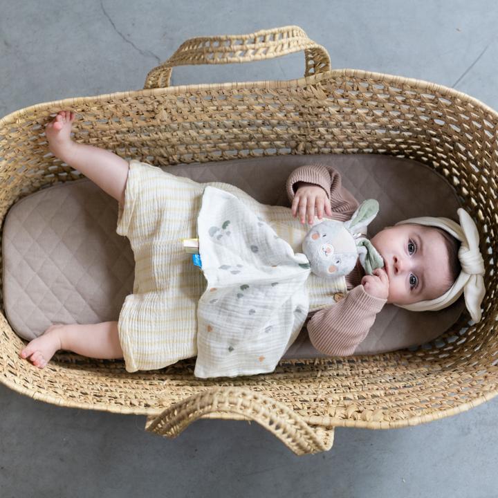 Actual product image Taf Toys Rylee the hare
