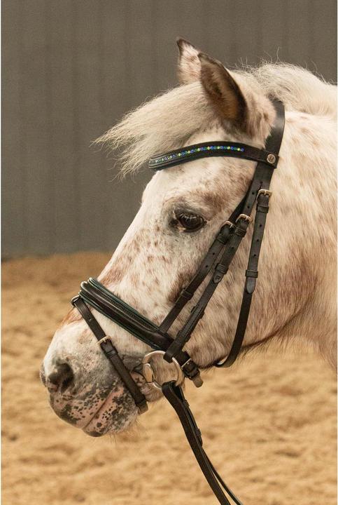 Image du produit Harry's Horse Stout!