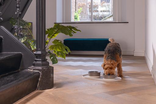 Productafbeelding Designed by Lotte Joa